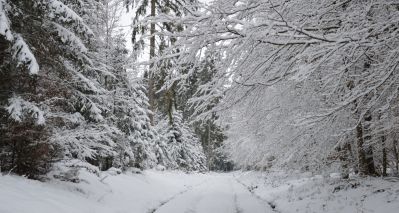Sonntag, 28. Dezember: Dankeschönwanderung – Rundwanderung in Bad Orbs schönstem Tal